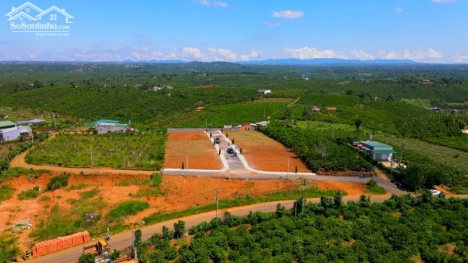 Đất biệt thự 250m2 thổ cư Bảo Lộc, cách Ql 20 chỉ 2p di chuyển.