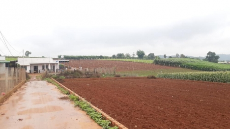 bán ngay 2 lô đất liền kề xã hiệp thạnh đức trọng full thổ cư