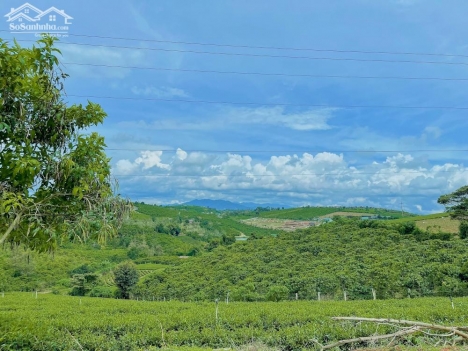 Bán gấp đất do bể nợ