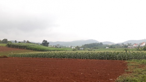 bán ngay 2 lô đất liền kề xã hiệp thạnh đức trọng full thổ cư