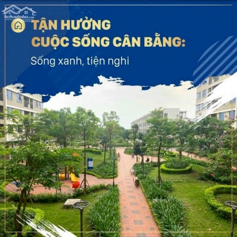 Chung Cư VIGLACERA Yên Phong, Tô Điểm Cuộc sống xanh. Nhà Xinh- Giá Sock 0964 023456