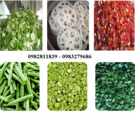 Máy thái hành lá tự động 0982811839