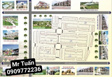 Cùng lướt sóng để sinh lời với dất nền Danh Hoàng Long