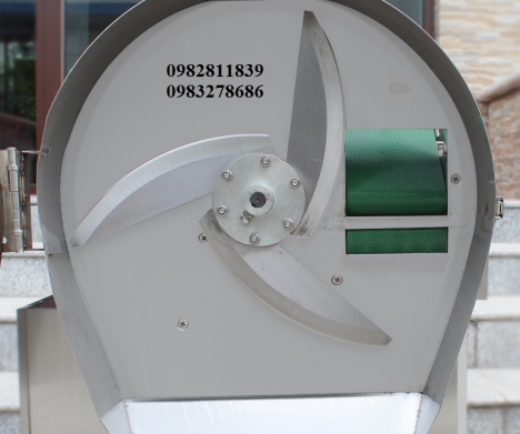 Máy thái hành lá tự động 0982811839