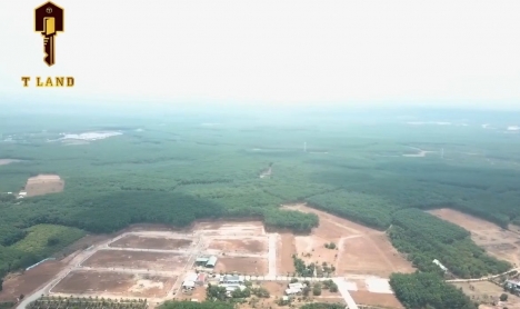 Cùng lướt sóng để sinh lời với dất nền Danh Hoàng Long