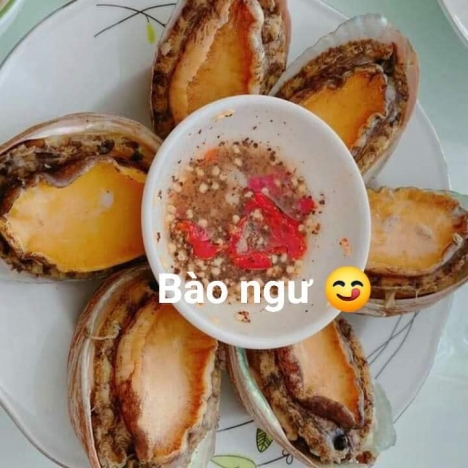Địa chỉ bán bào ngư tự nhiên giá tốt tại hà nội