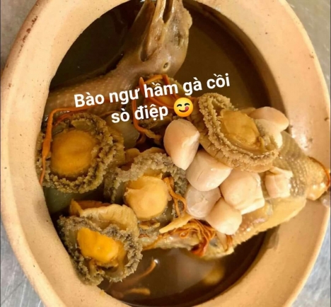 Địa chỉ bán bào ngư tự nhiên giá tốt tại hà nội