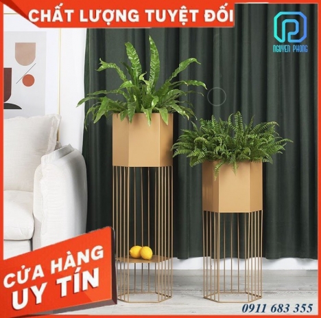 Kệ trang trí lục giác, trang trí chậu cây, chậu hoa văn phòng với thiết kế hiện đại