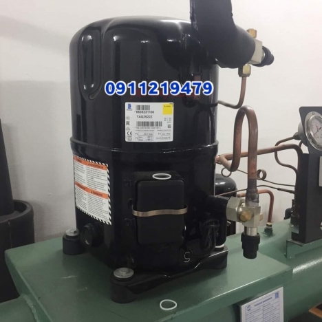 bán máy nén Tecumseh 5,5hp tại Tân Phú