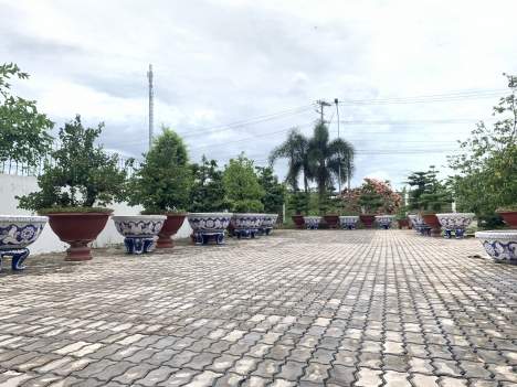 Nghệ nhân dán sành sứ chuyên sản xuất chậu hoa trồng cây đủ chủng loai