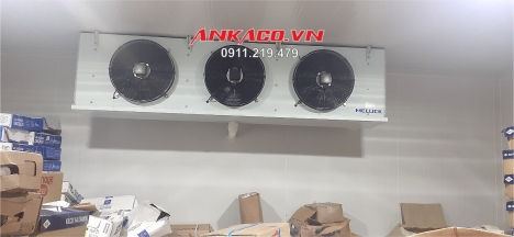 Thiết kế thi công kho cấp đông trữ hàng đông lạnh