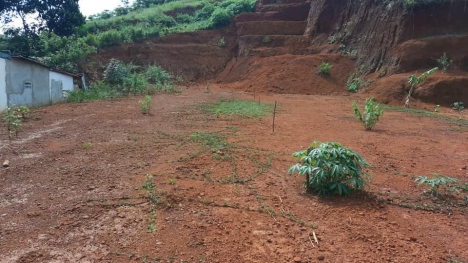 Đất Bảo Lộc diện tích 522m2 giá 1 tỷ 5, full thổ cư