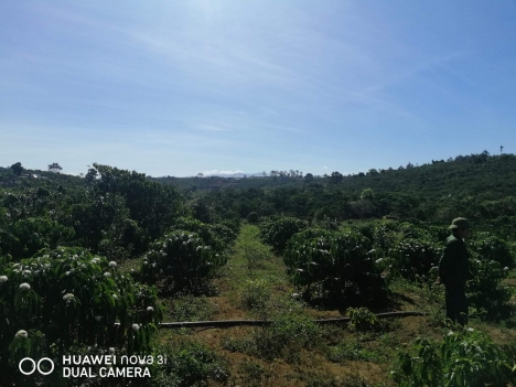 Đất xào Lộc An diện tích 1500m2 giá 2 tỷ 5