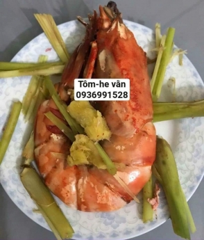 Địa chỉ bán tôm he vằn tươi ngon giá tốt