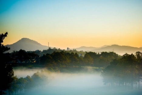 Đất Xào Lộc Châu diện tích 10000m2 giá 16 tỷ