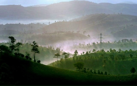 Đất mặt tiền đường Tản Đà diện tích 525m2 giá 1 tỷ 5.