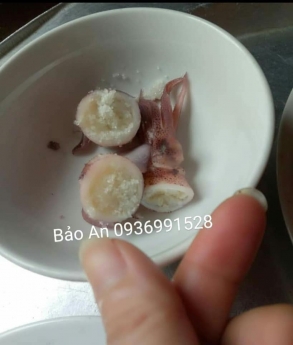 bán mực cánh trứng giá tốt ở hà nội