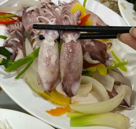 bán mực cánh trứng giá tốt ở hà nội