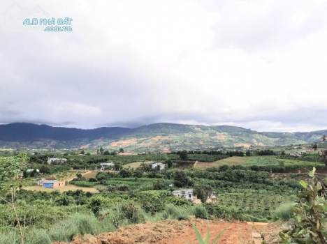 Đất Xào Lộc Châu diện tích 10000m2 giá 16 tỷ