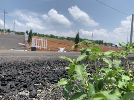 Đất Hiếm Giá Rẻ Ngay Trung Tâm Tp Giá 416Tr Diện Tích 200M2