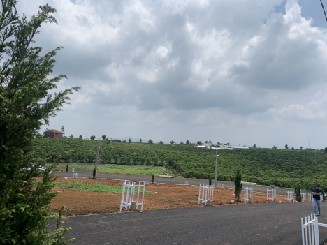 Đất Hiếm Giá Rẻ Ngay Trung Tâm Tp Giá 416Tr Diện Tích 200M2