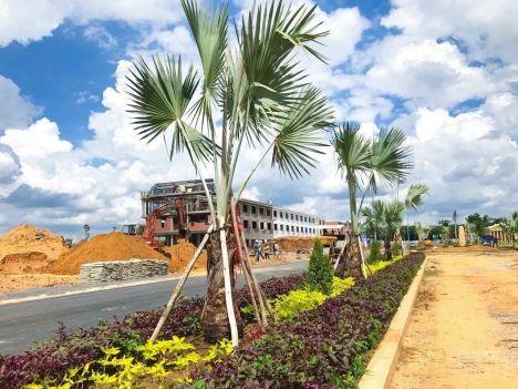 Century city cùng loạt ưu đãi hấp dẫn