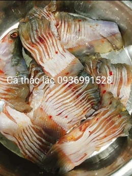 Cá thác lác rút xương giá tốt