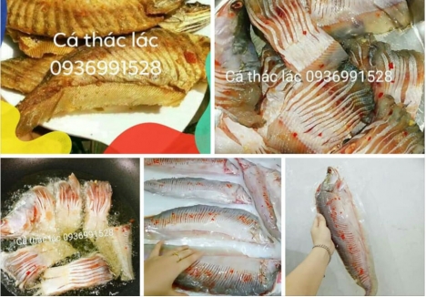 Cá thác lác rút xương giá tốt