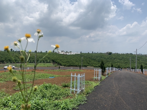 Đất Hiếm Giá Rẻ Ngay Trung Tâm Tp Giá 416Tr Diện Tích 200M2