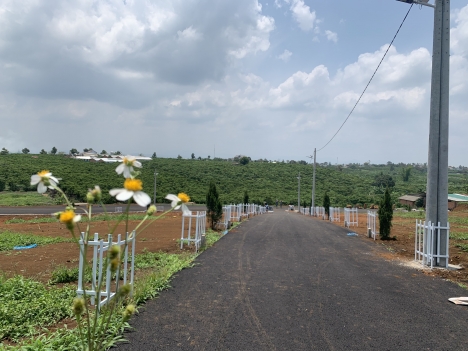 Đất Hiếm Giá Rẻ Ngay Trung Tâm Tp Giá 416Tr Diện Tích 200M2