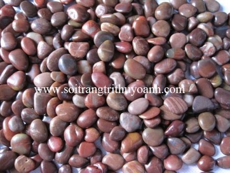 Sỏi đỏ bóng rải nhà tắm cung cấp tại tp hcm