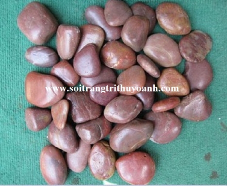 Sỏi đỏ bóng rải nhà tắm cung cấp tại tp hcm