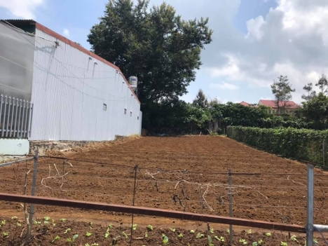 Đất mặt tiền đường quốc lộ 20 diện tích 130m2 giá 825tr full thổ cư.