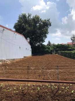 Đất mặt tiền đường quốc lộ 20 diện tích 130m2 giá 825tr full thổ cư.