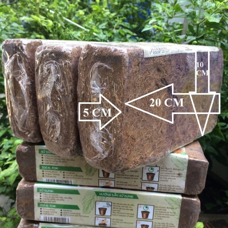 MỤN NÉN XƠ DỪA - Giá Thể Sạch Cho Cây Trồng( Viên 650Gr)