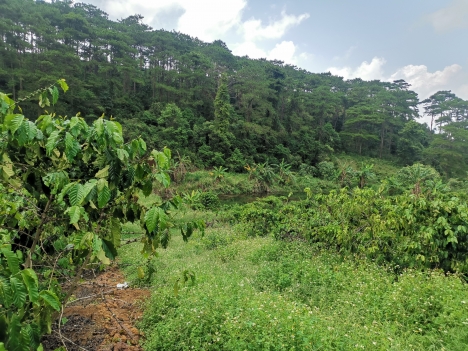 Đất mặt tiền đường quốc lộ 20 diện tích 130m2 giá 825tr full thổ cư.