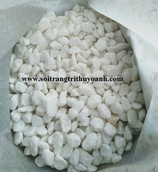 Sỏi trắng quay rải tiểu cảnh biệt thự