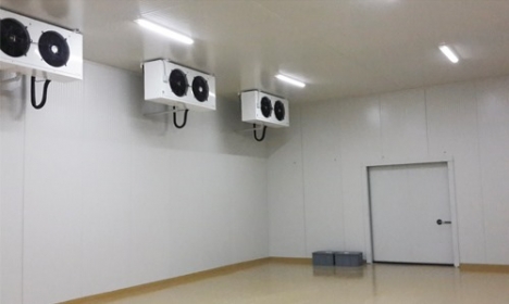mua kho lạnh thanh lý