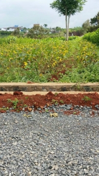 Đất 2 mặt tiền đường nhựa 8m diện tích 115m2 full thổ cư giá 1 tỷ 2.