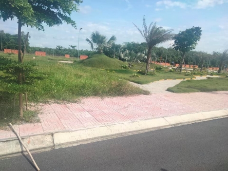 Phương Toàn Phát Giá ưu đãi nhà đầu tư chỉ 820tr nền