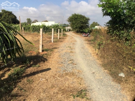 Đất Mẫu CLN 3 mặt tiền- Xã Tiến Thành - Phan Thiết - Bình Thuận