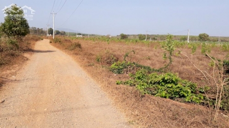 Đất Mẫu CLN Xã Tiến Thành - Phan Thiết - Bình Thuận