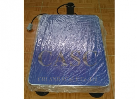 Cân bàn điện tử công nghiệp BS-A12 - Cân điện tử Chi Anh