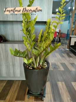 Kệ sắt di động, kệ đôn có bánh xe, kệ trang trí