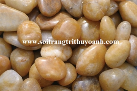 Sỏi bóng màu vàng trang trí tiểu cảnh