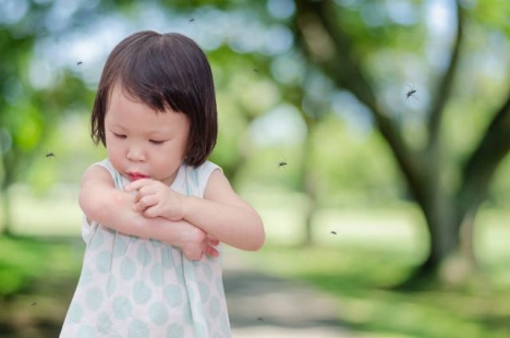 Tập Đoàn Sơn Nhật Bản Sản Xuất Và Bán Sơn Trang Trí: Giả Gỗ, Vân Mây, Phát Quang ...