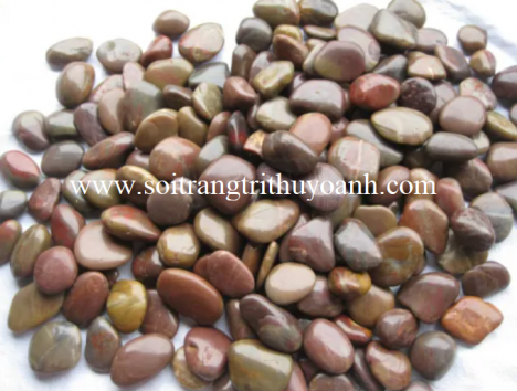 Sỏi trang trí tiểu cảnh sân vườn tại Cần Thơ