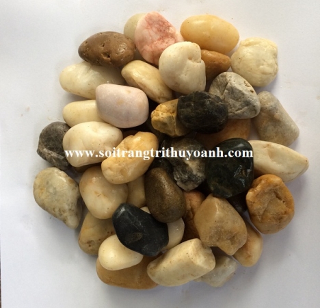 Sỏi trang trí tiểu cảnh sân vườn tại Cần Thơ