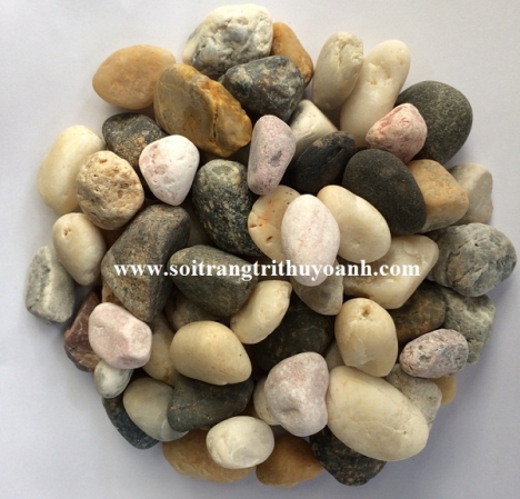 Sỏi trang trí tiểu cảnh sân vườn tại Cần Thơ
