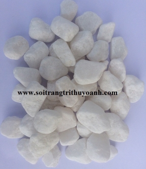Sỏi trang trí tiểu cảnh sân vườn tại Cần Thơ